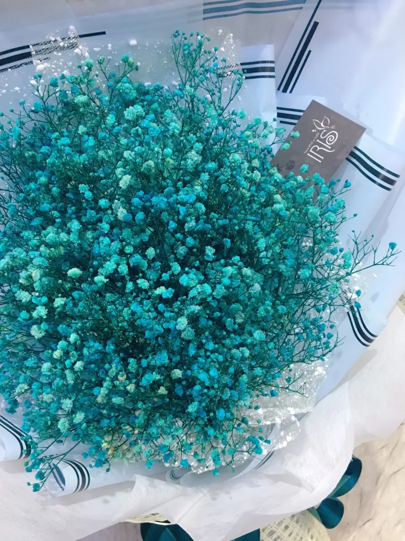 Hoa baby màu xanh da trời