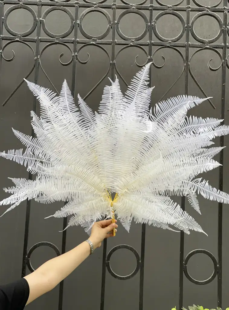 Dương Xỉ Phượng Hoàng Màu Trắng