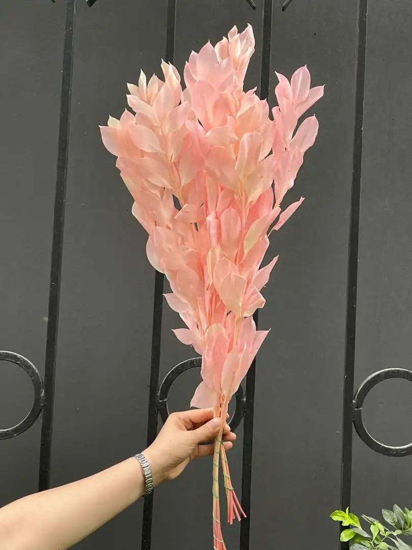 Lá chanh màu hồng nhạt