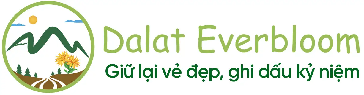 Dalat Everbloom