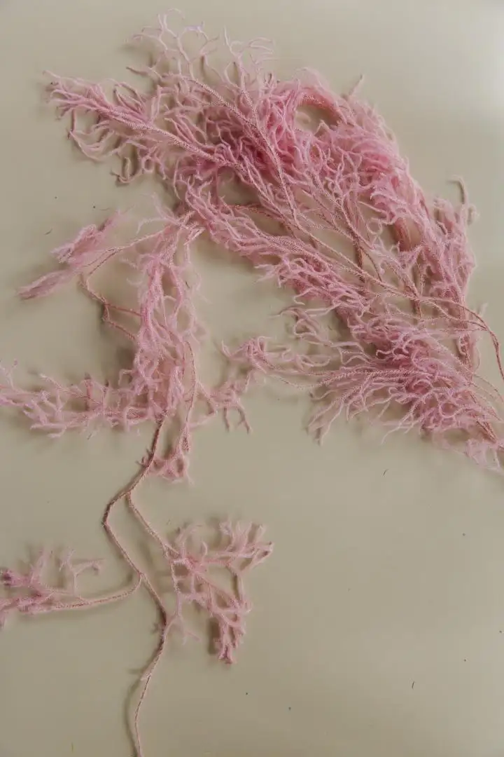 Dây Rừng Màu Hồng