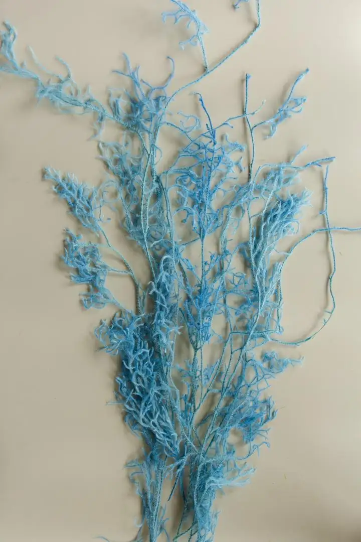 Dây Rừng Màu Xanh Dương