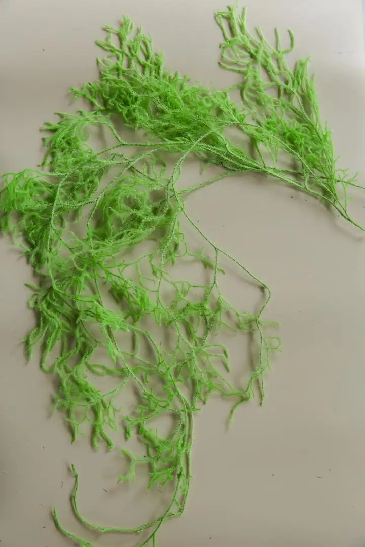 Thông Đất Màu Xanh Lá